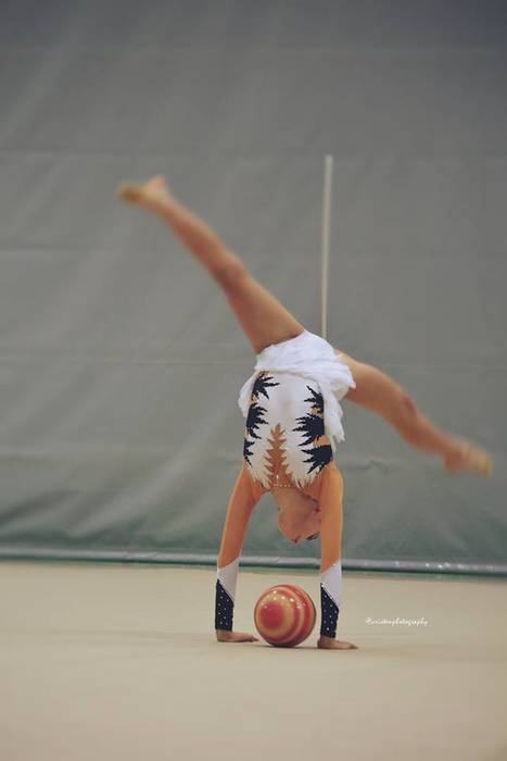 Dozenaka parte hartzaile X.  20 1490876964700