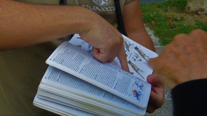 Hegaztiak ezagutzeko txangoa 15 1508074301475