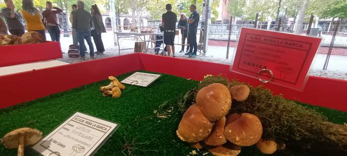 Ziza garaia iritsi da Urduña 11 1760971494940