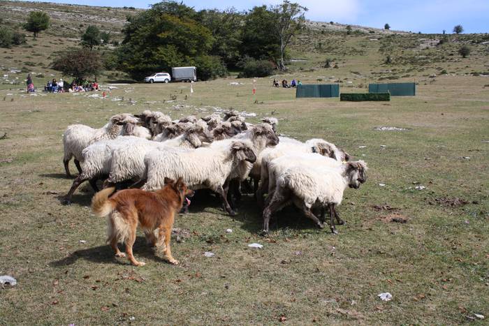 Sanbitoresak ospatzeko ehunk 54 1504509995736