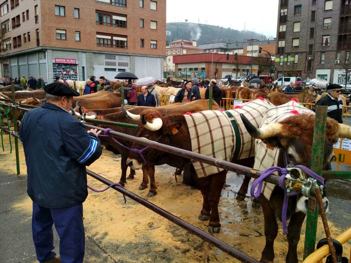 Ehunka lagunek berotu dute D 6 1521813738363