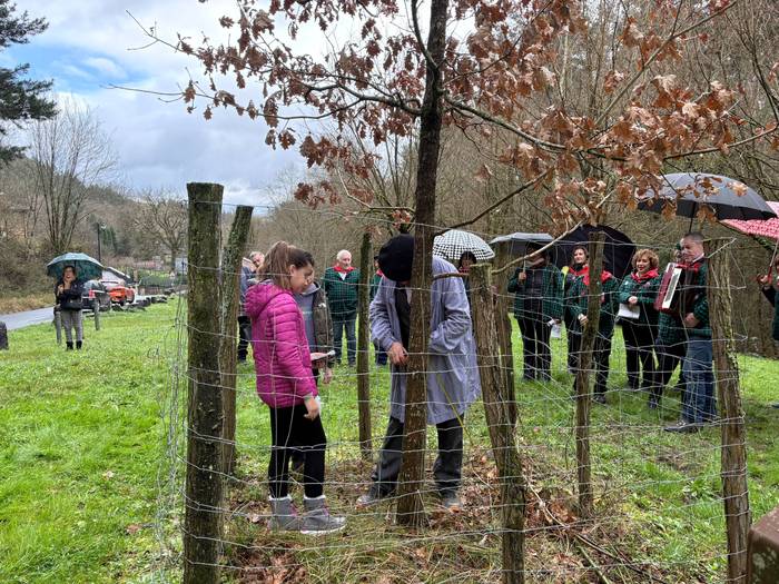 Gernikako zuhaitzaren kimua  32 1770844272103