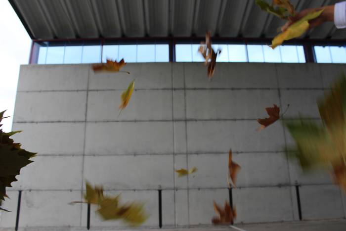 ARGAZKIEKIN JOLASEAN 11 1510747166348