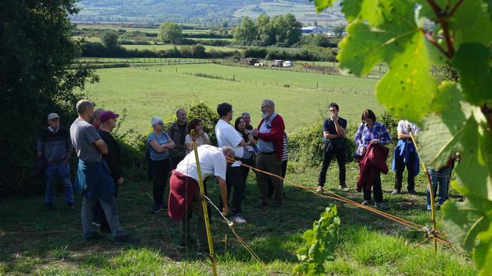 Txakolina Urduñan 24 1759234674864