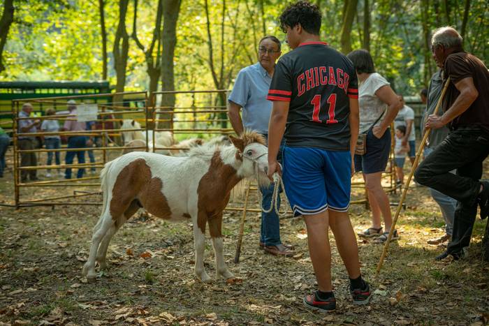 San Rokeko zelaiak bilakatu  1 1755350413305