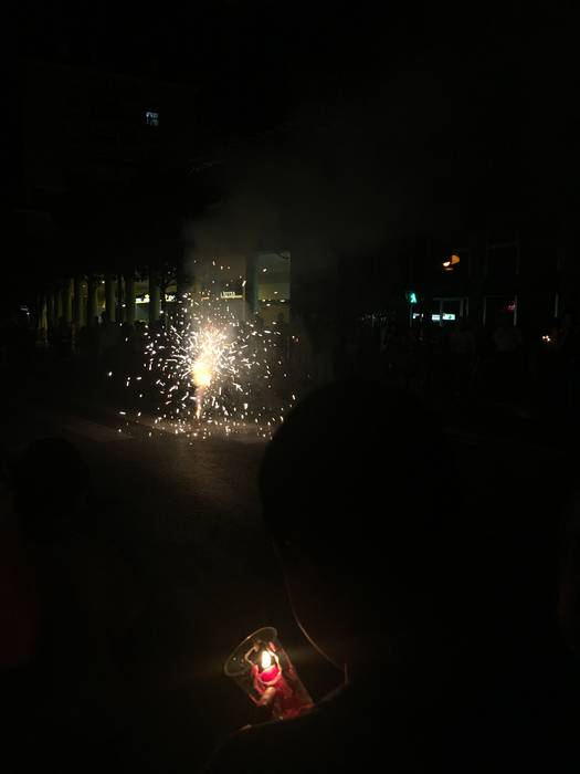 Erroketxu txakurraren erreke 1 1503872519465