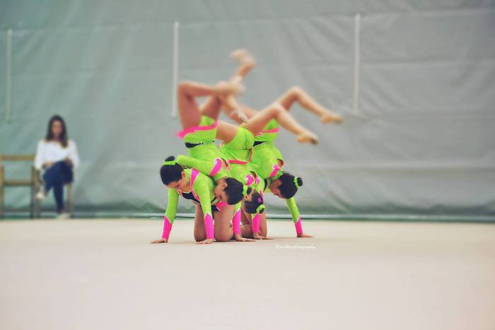 Dozenaka parte hartzaile X.  66 1490877262360