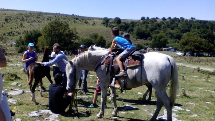 Artzainak izan ziren nagusi  59 1535893508754