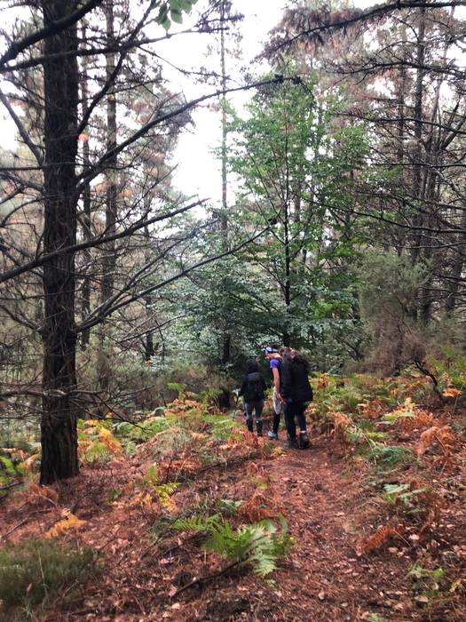 Familia giroa nagusi Arranku 12 1758523824874