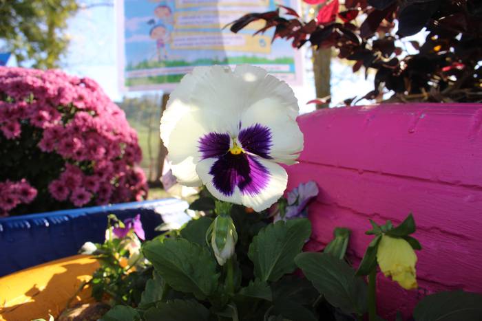 ARGAZKIEKIN JOLASEAN 17 1510133651505