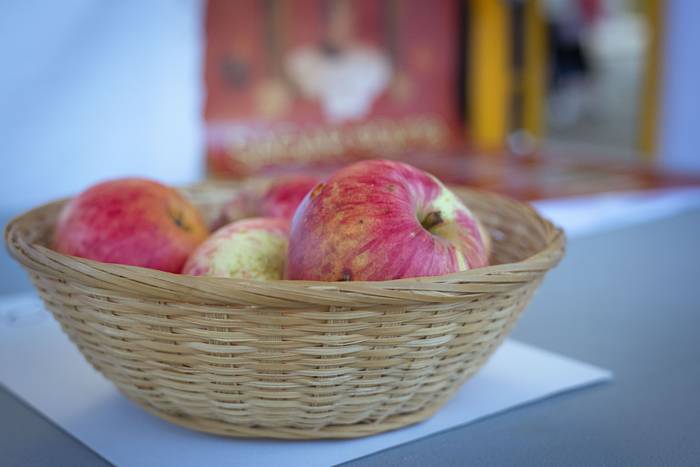 Sagarraren tradizioa plazara 5 1759588479821