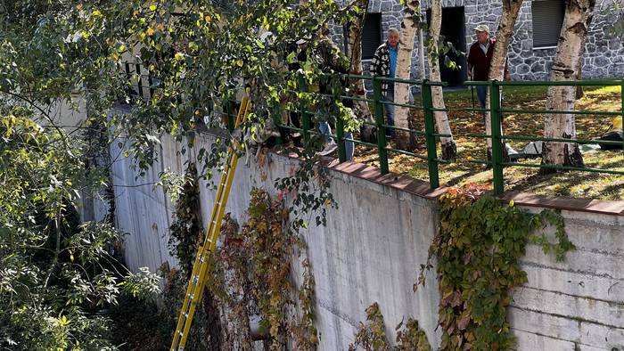 Txakur bat erreskatatu dute  11 1761824767465