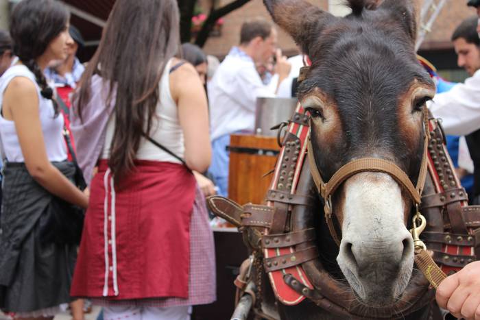 Sokatik tiraka itzuli dira j 5 1503500186571