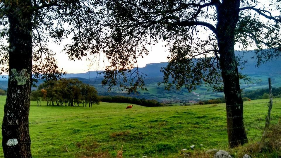 Ibilbidea, Etxaurren