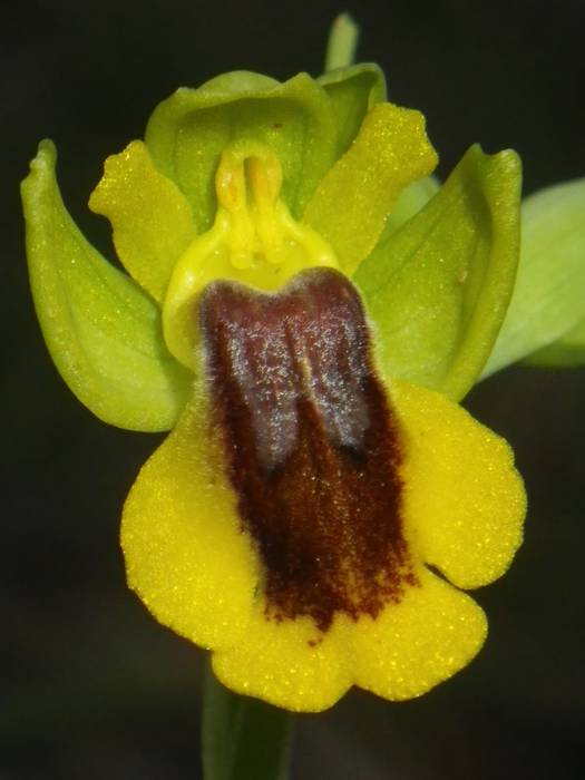 Agur esan baino arinago... 14 1523298242440