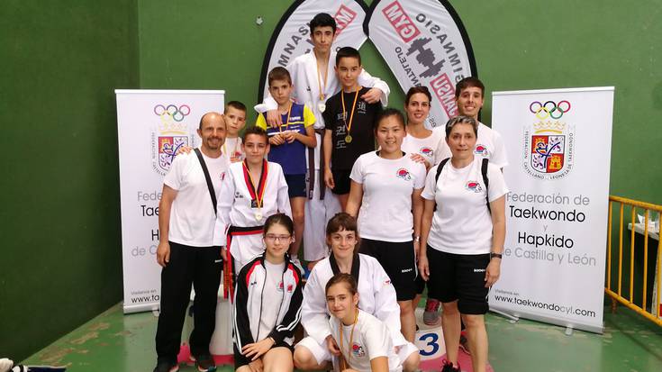 7 domina eskuratuta agurtu du denboraldia Laudio Taekwondo taldeak