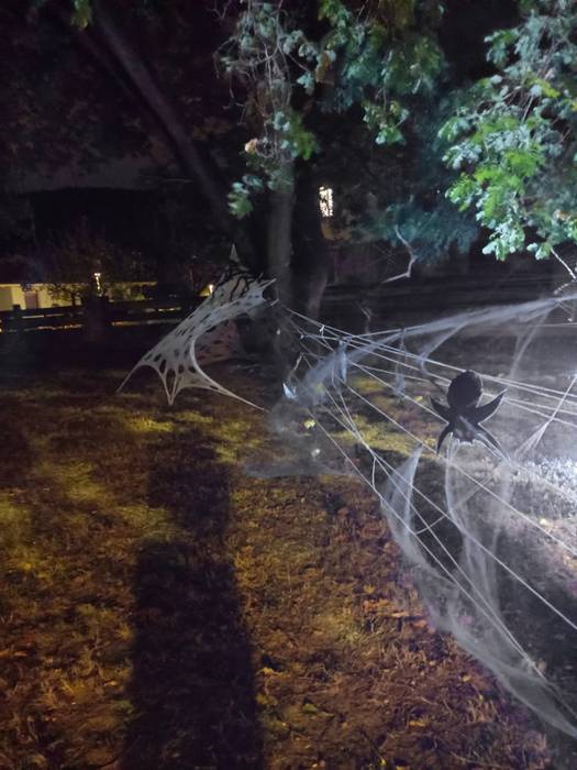 Aiaraldeko hamaika txokotara 11 1761963946681