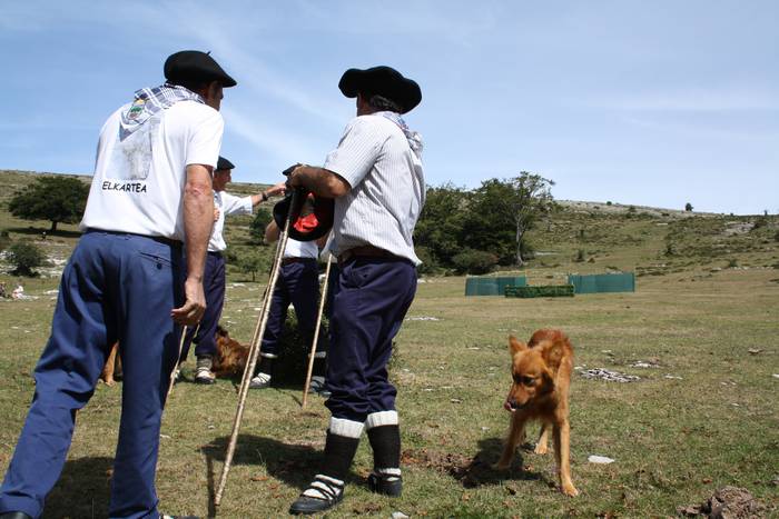 Sanbitoresak ospatzeko ehunk 78 1504510631574