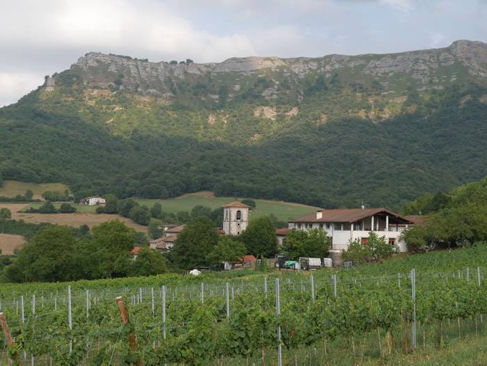 Delika, mahasti artean ezkutatuta