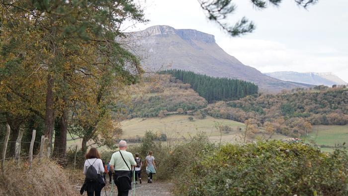 Omenaldiek bereziki hunkigar 66 1765403014412