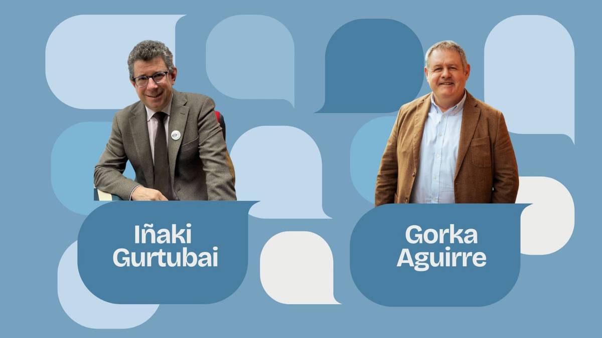 Enplegu azoka eta euskara sustatzeko plan estrategikoa, azalera