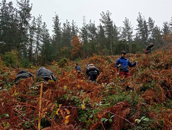 Eguraldia petrala izan arren 13 1765399961297