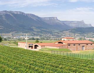 Urrezko eta zilarrezko lau domina lortu ditu Artomaña Txakolinak International Wine Awards lehiaketan