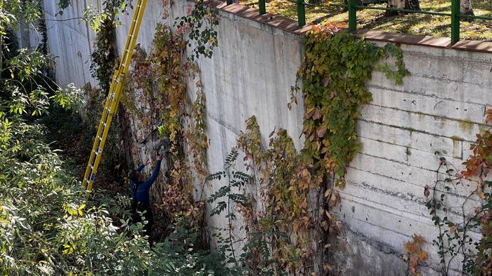 Txakur bat erreskatatu dute  7 1761824753536