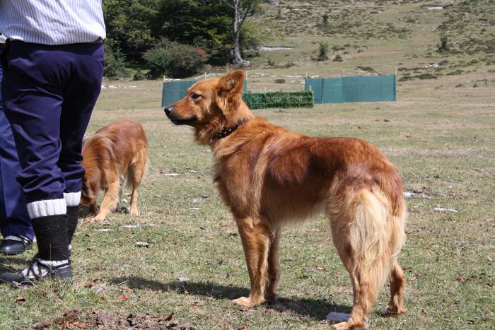 Sanbitoresak ospatzeko ehunk 79 1504510655757