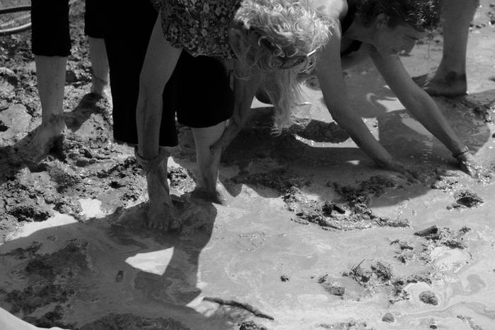 Basa zikloak lokatzetik Fakt 7 1777364201920