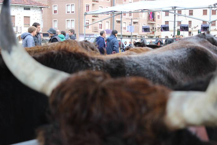 Eguraldi petrala izan arren, 3 1513616489994