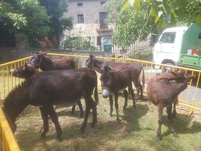 San Isidro Azokak jende ugar 51 1494852837925