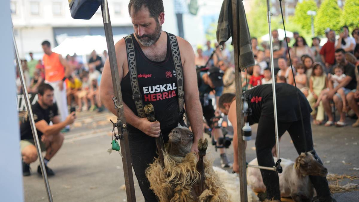 Bertako produktua eta herri kirolak, Laudioko Ardiaren Egunaren protagonistak