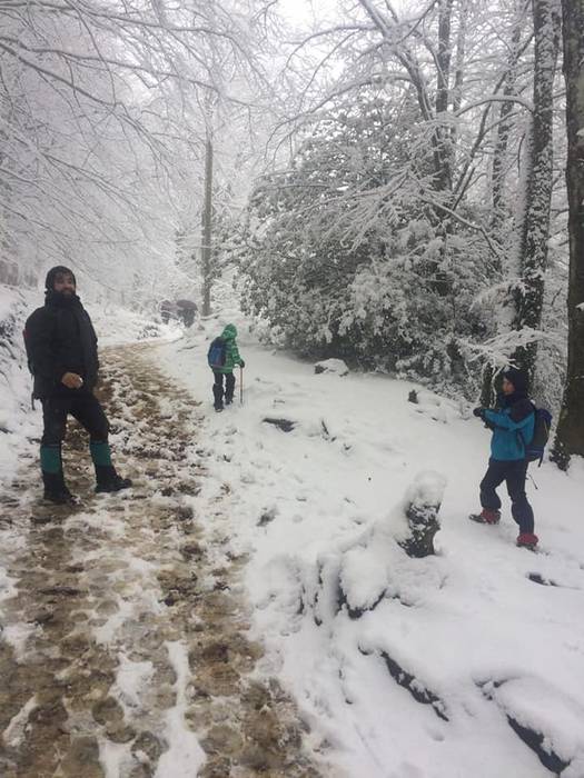 Elurtuta topatu zuen Matxink 18 1521550077758