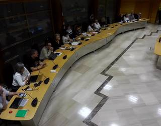 Maderas de Llodioko grebalarien aldeko adierazpen instituzionala onartu du Laudioko Udalak