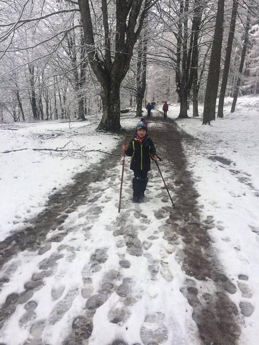 Elurtuta topatu zuen Matxink 16 1521550065155