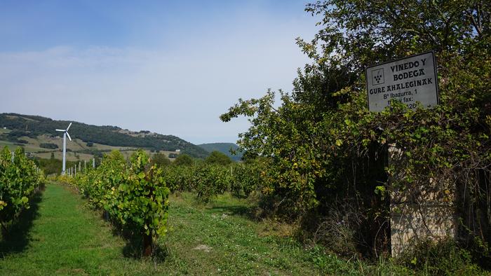 Txakolina Urduñan 26 1759234696199