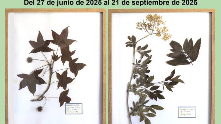 Urduñako Haraneko zuhaitzen erakusketaren inaugurazioa