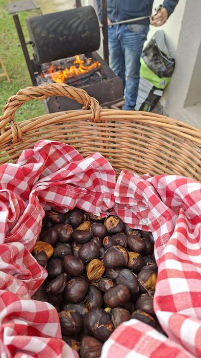 Arrakastatsua izan da beste  6 1766254836231