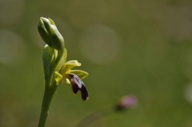 Itzultzeak 8 1619015039744