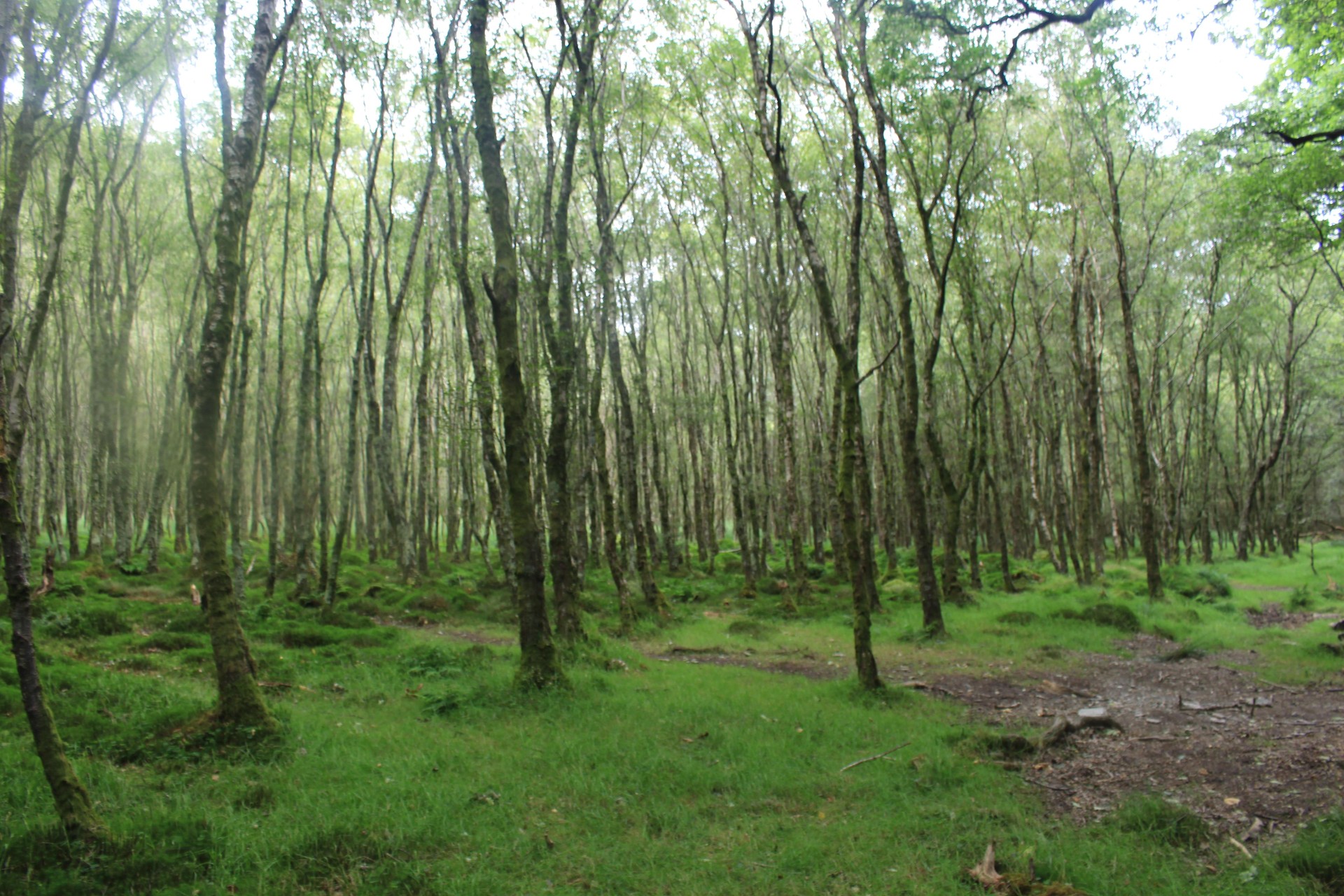 Glendalough, Irlanda