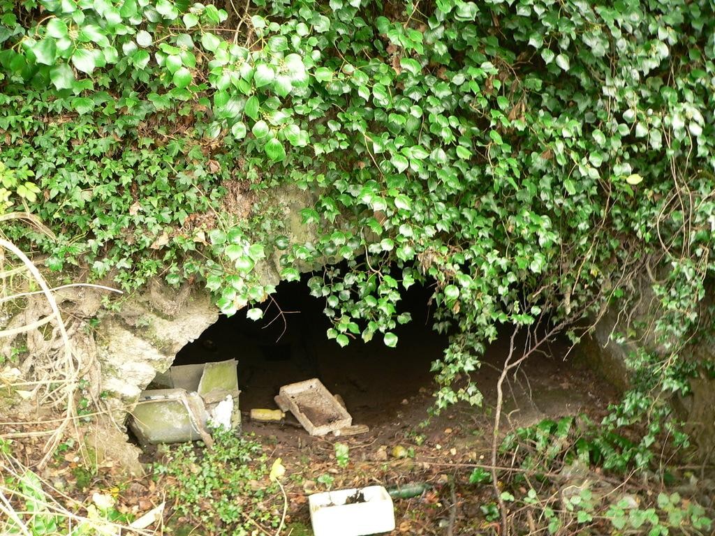 Ubiros Errota konpontzeko auzolandegiak antolatu ditu Gazteria Zuzendaritzak