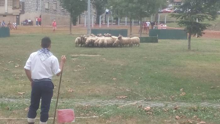 Castellersek, bertsolariek,  12 1503688363499