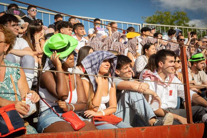 Zezen plaza lepo Muturreko H 29 1756414613023