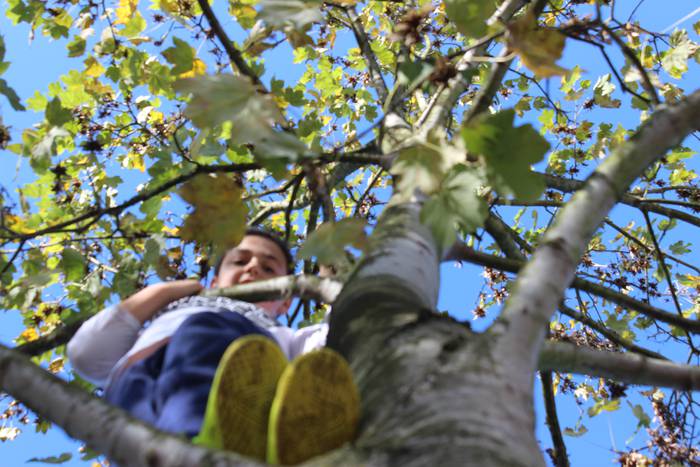 ARGAZKIEKIN JOLASEAN 10 1510133391733