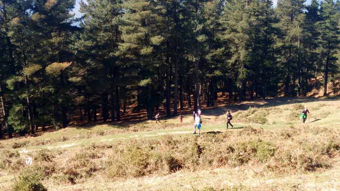 Herriko mendietako buzoiak b 4 1490130876094