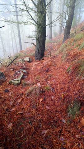 Guda Zibileko lubaki gehiago 4 1513036757206