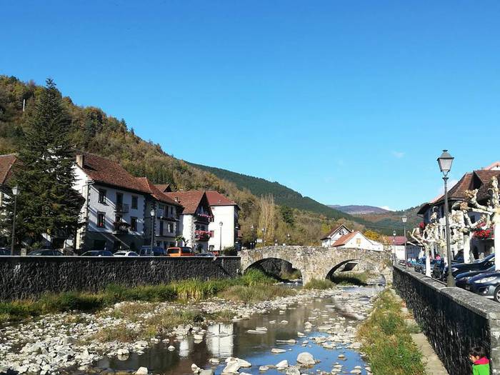 Iratiko basoan egon da asteb 16 1509432818886