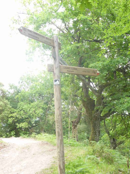 Astelehenerarte luzatu ziren 30 1496394136388