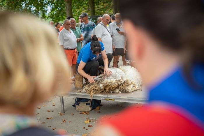 San Roke inguruan eman diete 16 1755434203586